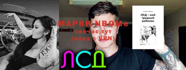 бошки Абаза