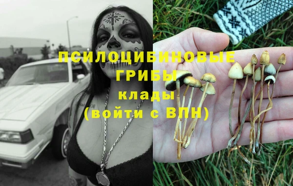 бошки Абаза