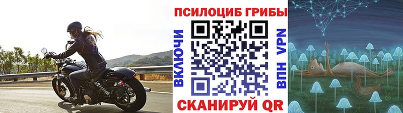 где найти наркотики  mega онион  Галлюциногенные грибы мицелий  shop наркотические препараты  Батайск 
