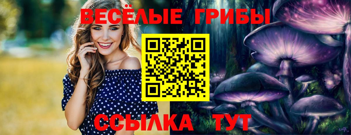 Псилоцибиновые грибы Psilocybine cubensis  Псилоцибиновые грибы Psilocybe  Вход с VPN  Батайск 